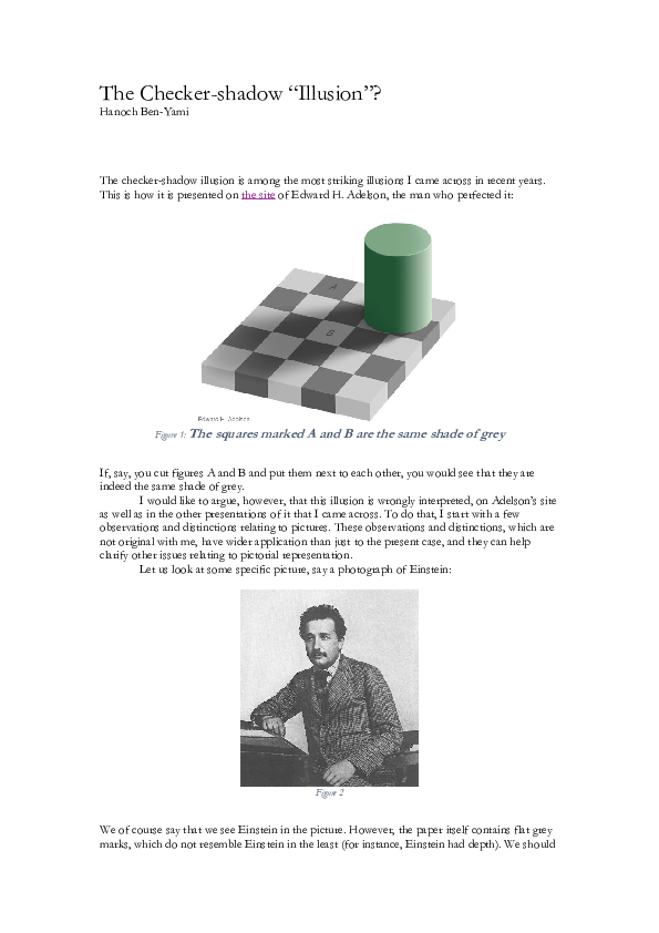 (PDF) The Checkershadow "Illusion"? Hanoch BenYami Academia.edu