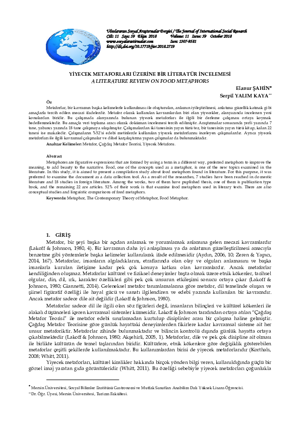 Metaphor function in literature picture