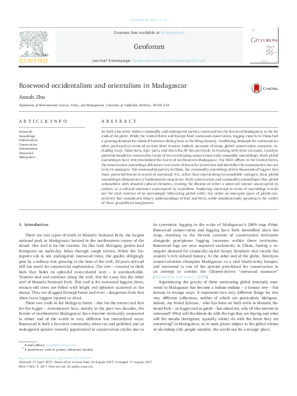 Essay on occidentalism