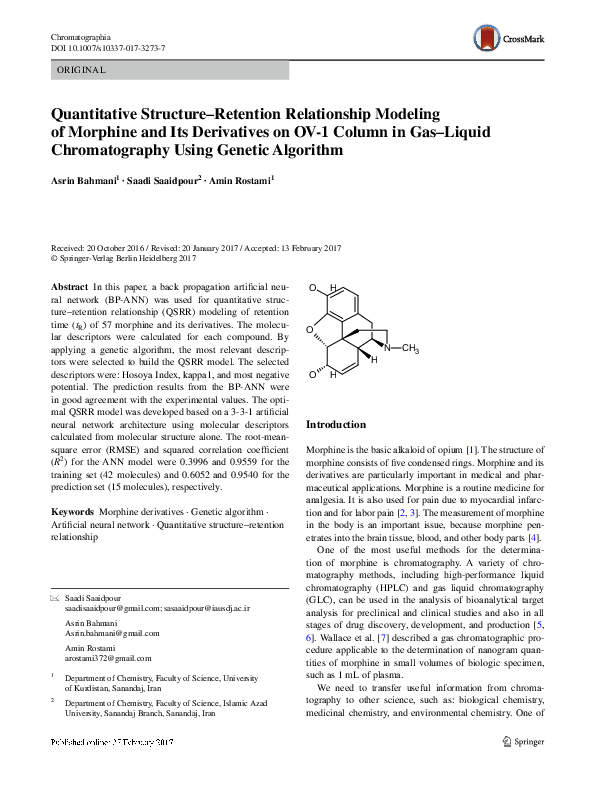Morphine essays 02 image
