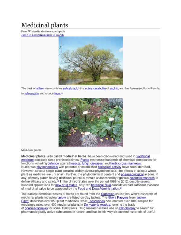 Importance of medicinal plants essay picture