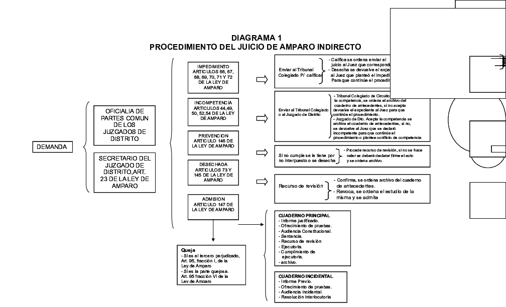 (DOC) DIAGRAMA 1 PROCEDIMIENTO DEL JUICIO DE AMPARO INDIRECTO
