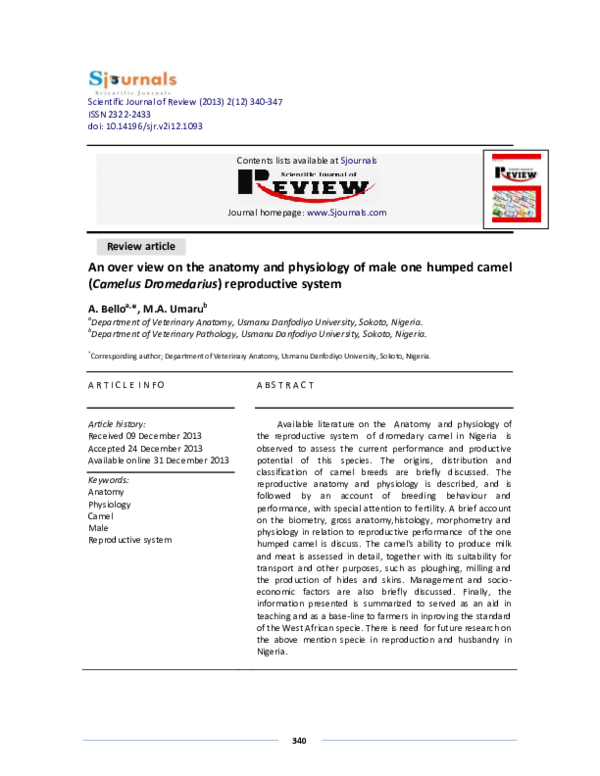 (PDF) Anatomy review.pdf