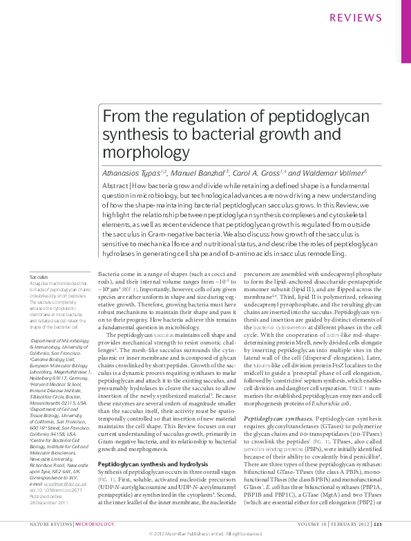 Bacterial morphology and staining techniques picture