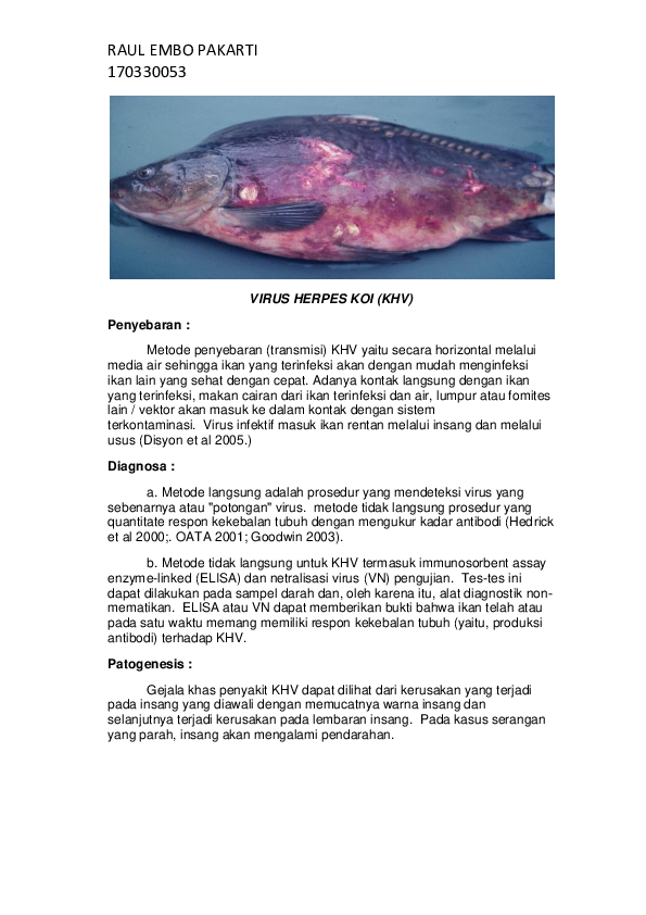 (DOC) VIRUS HERPES KOI (KHV