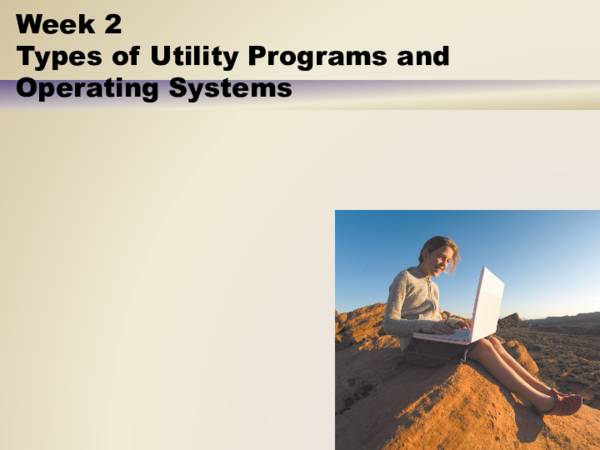 (PDF) Week 2 Types of Utility Programs and Operating Systems