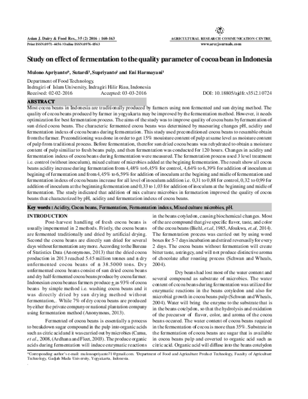 Cocoa bean essay 07 picture