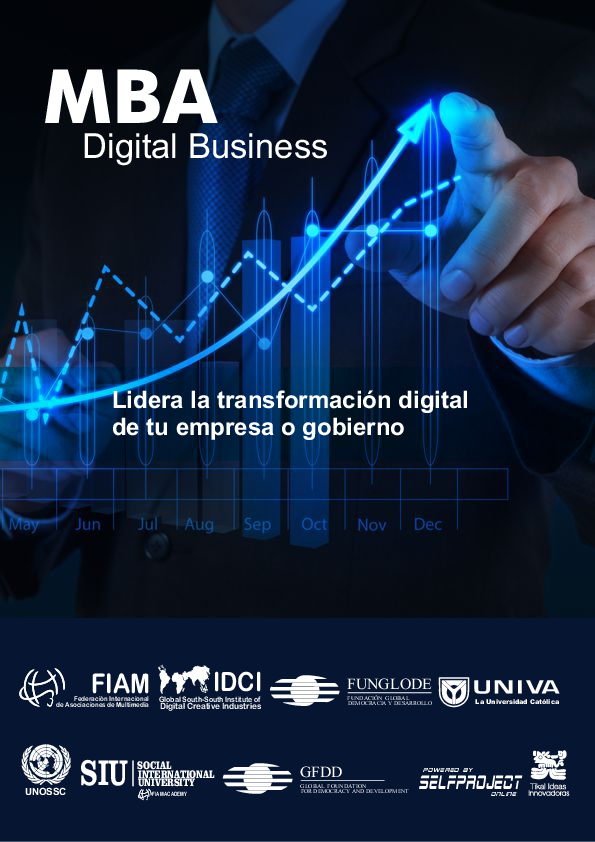 (PDF) MBA in Digital Business Emilio Salomon Academia.edu