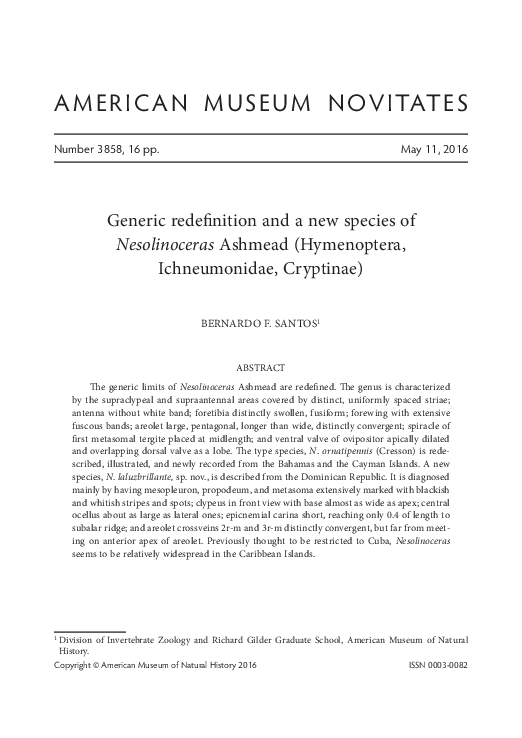 (PDF) Generic redefinition and a new species of Nesolinoceras Ashmead ...