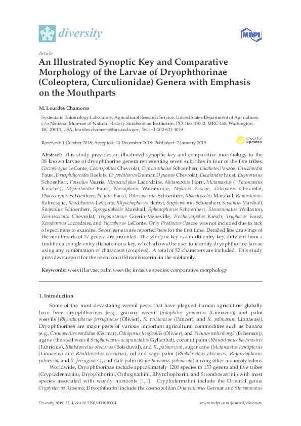 (PDF) An Illustrated Synoptic Key and Comparative Morphology of the ...