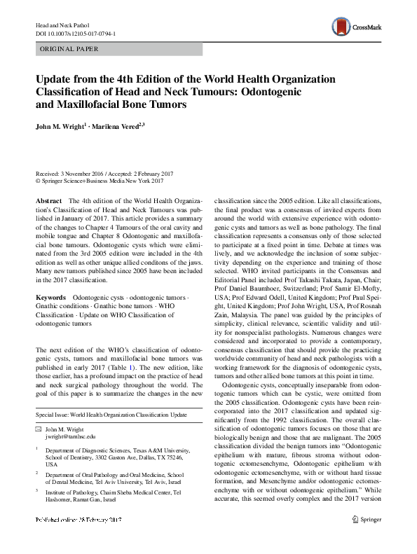 Essay bone cancer 04 image