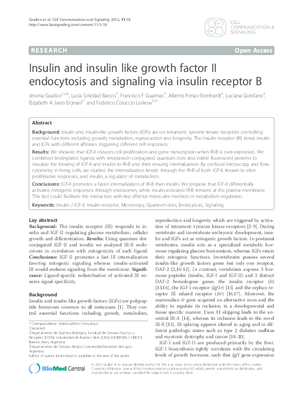 (PDF) Insulin and insulin like growth factor II endocytosis and ...