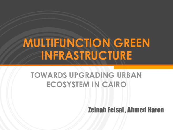(PDF) MULTIFUNCTION GREEN INFRASTRUCTURE NEW CAIRO.pdf