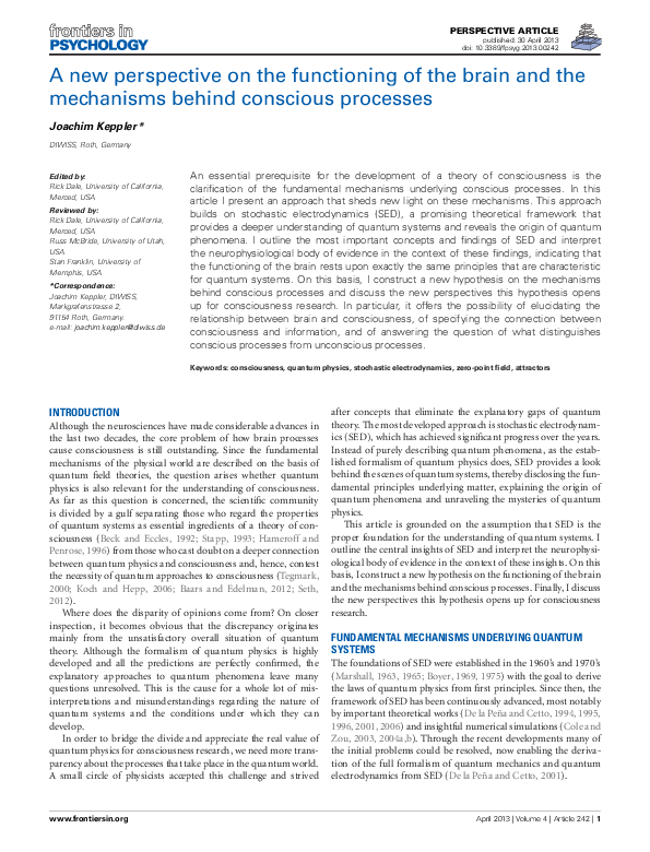 (PDF) A new perspective on the functioning of the brain and the ...