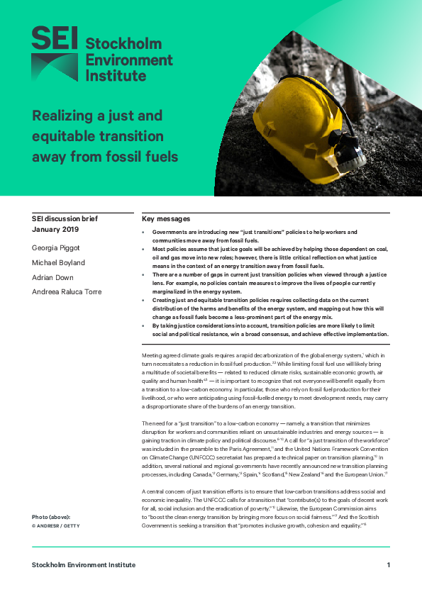 (PDF) Realizing a just and equitable transition away from fossil fuels