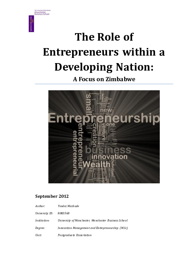 (PDF) The Role of Entrepreneurs within a developing nation