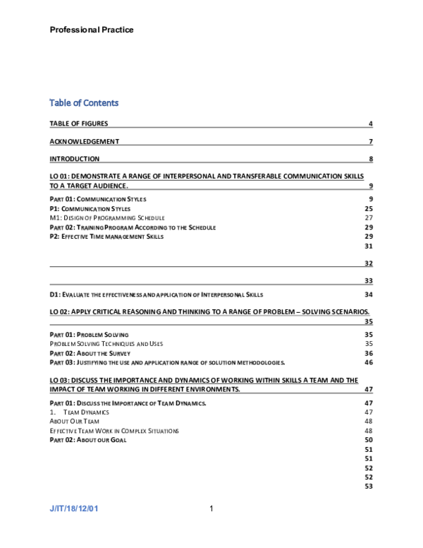 (PDF) Professional Practice