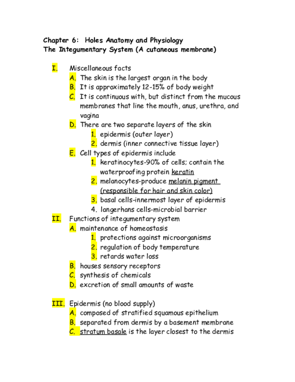 Essay on astronomy image