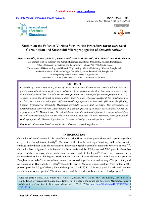 Sterilization and disinfection picture