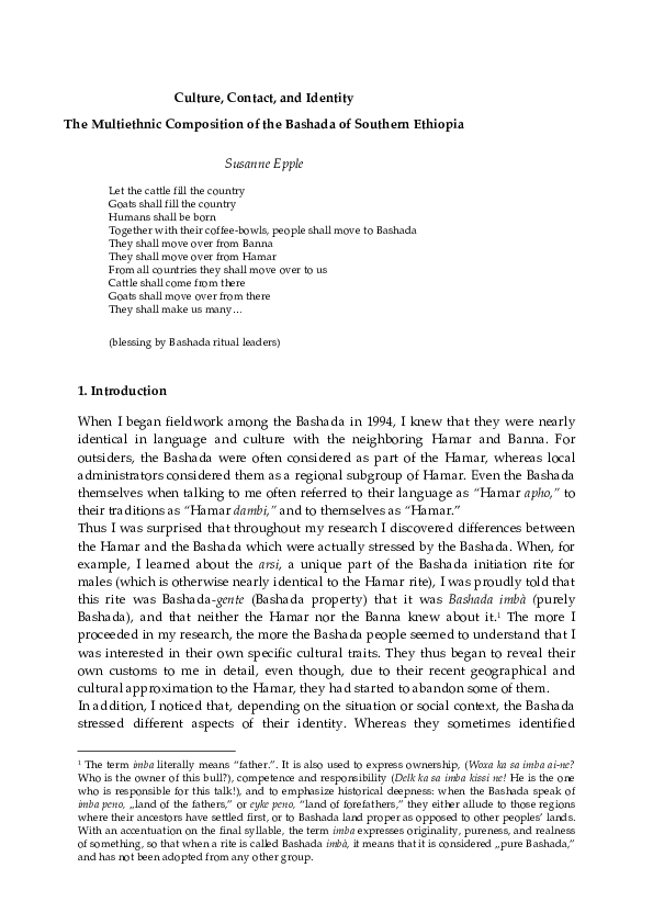 Southern identity essay 08 picture