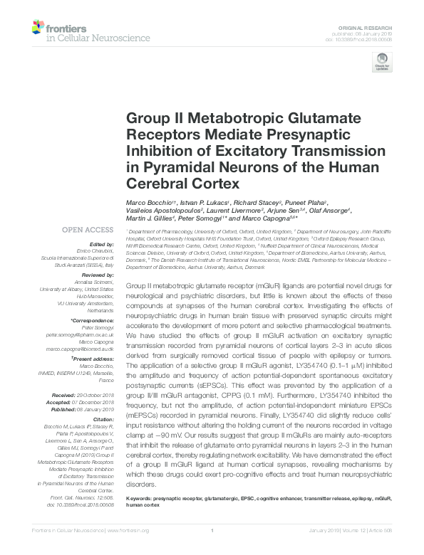 (PDF) Group II Metabotropic Glutamate Receptors Mediate Presynaptic ...