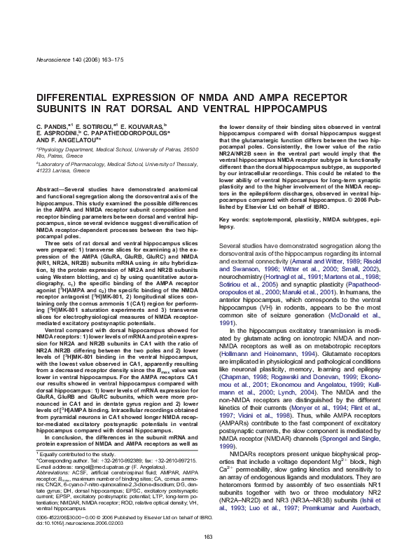 (PDF) Differential expression of NMDA and AMPA receptor subunits in rat ...