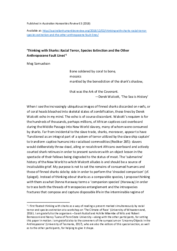 Racial fault lines paper essay 02 picture