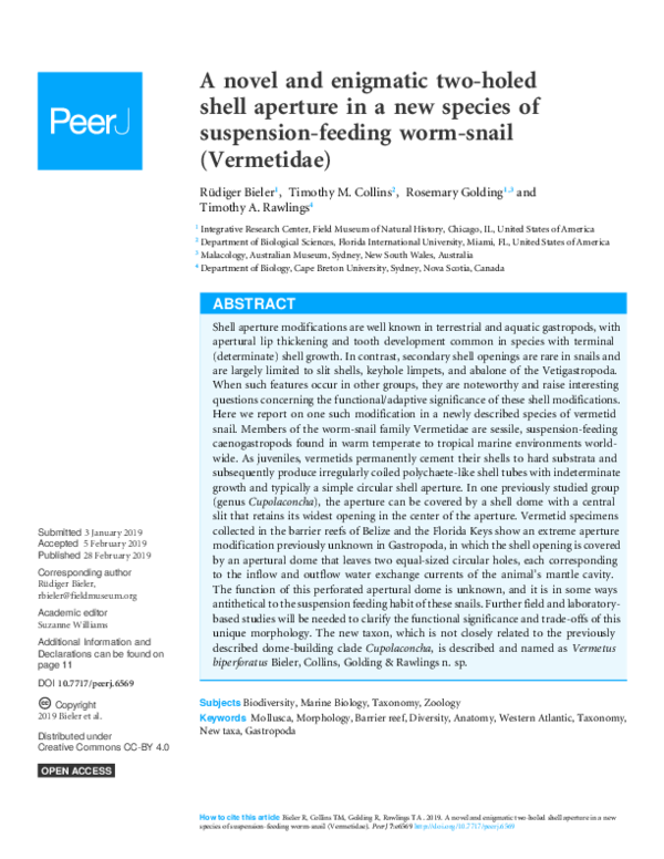 (PDF) A novel and enigmatic twoholed shell aperture in a new species