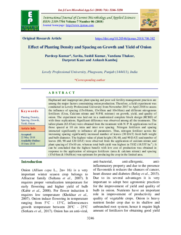 (PDF) Effect of Planting Density and Spacing on Growth and Yield of Onion