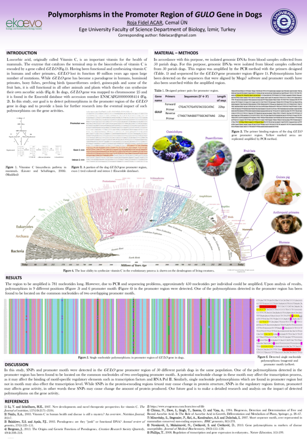 (PDF) Polymorphisms in the Promoter Region of GULO Gene in Dogs