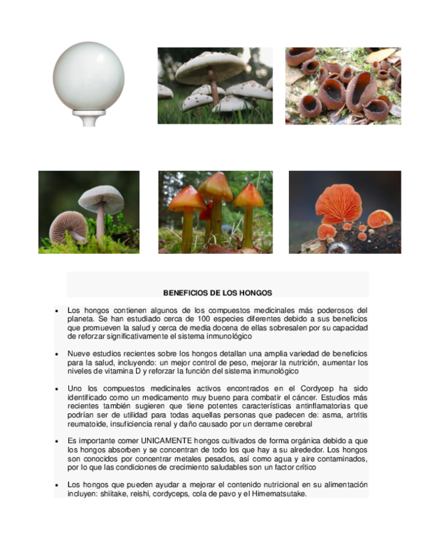 De los hongos beneficios
