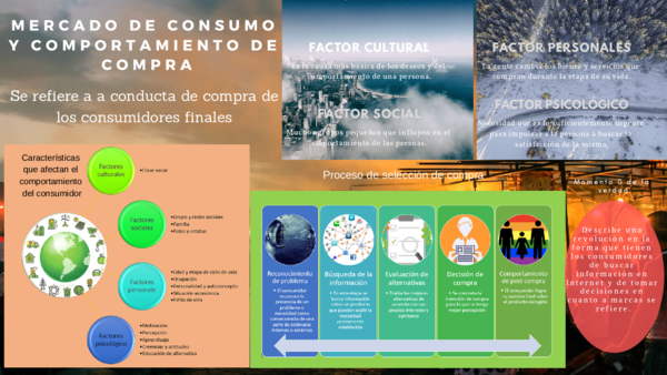 (PDF) Mercado de consumo 2.