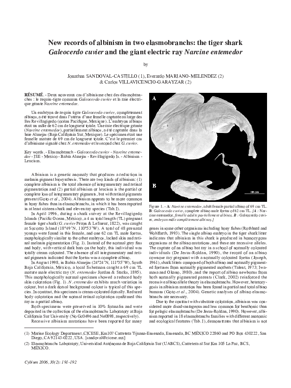 Types of albinism picture