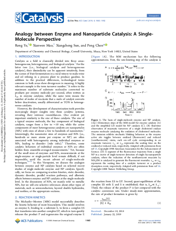 (PDF) Analogy between Enzyme and Nanoparticle Catalysis A Single