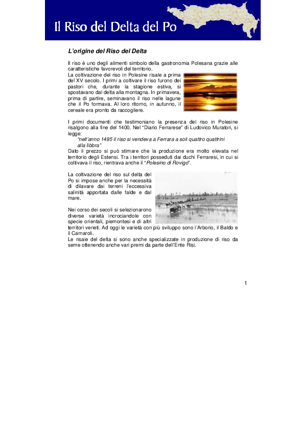 (PDF) Il riso del Delta del Po