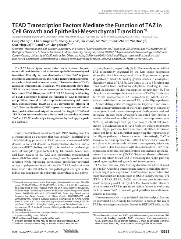 (PDF) TEAD Transcription Factors Mediate the Function of TAZ in Cell ...