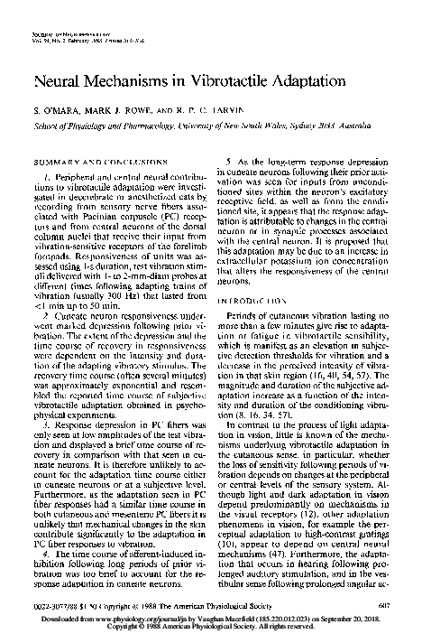 (PDF) Neural Mechanisms in Vibrotactile AdaDtation