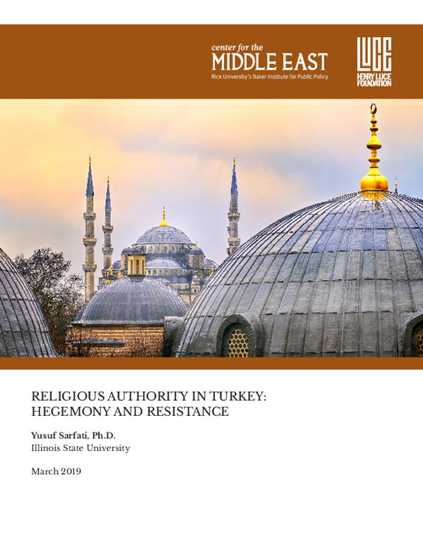 (PDF) RELIGIOUS AUTHORITY IN TURKEY: HEGEMONY AND RESISTANCE