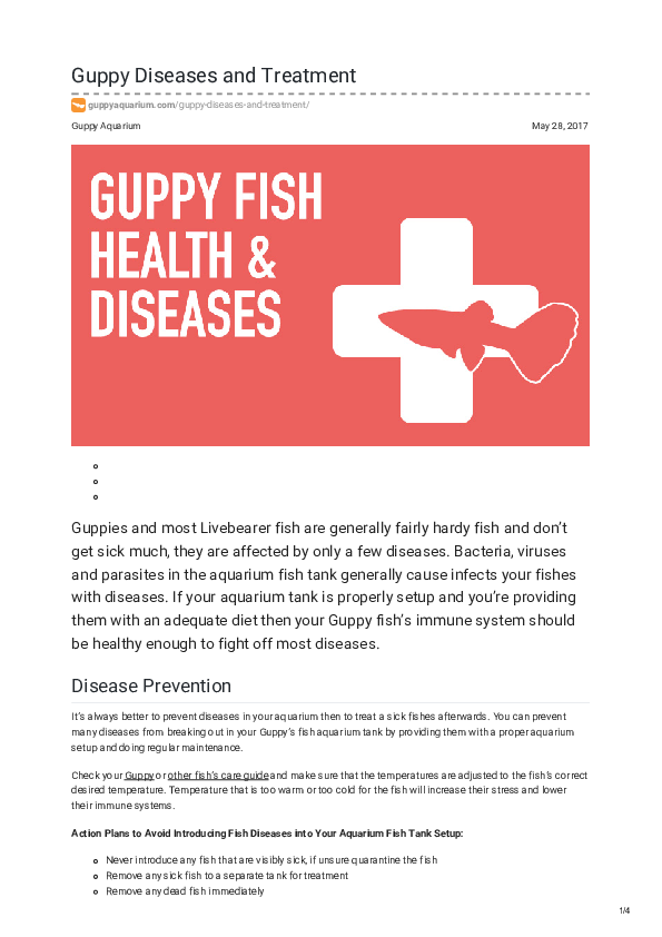 Pdf Guppy Aquarium Guppy Diseases And Treatment Mr Ok Academia Edu
