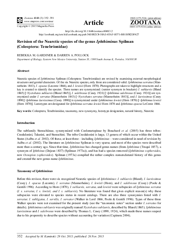 Research paper tenebrionidae 08 image