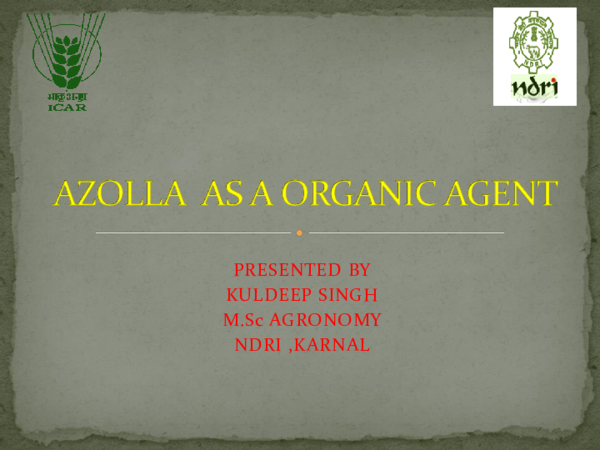 (PPT) AZOLLA AS A ORGANIC AGENT