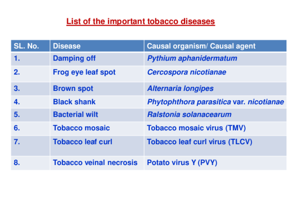 diseases in tobacco PDF) L4S1- Tobacco diseases