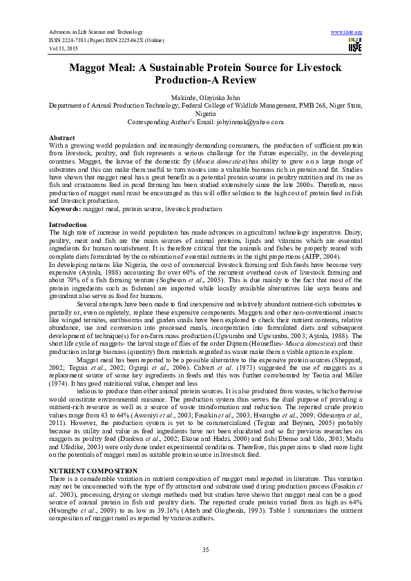 Maggot therapy image