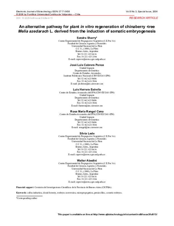 (PDF) An alternative pathway for plant in vitro regeneration of ...
