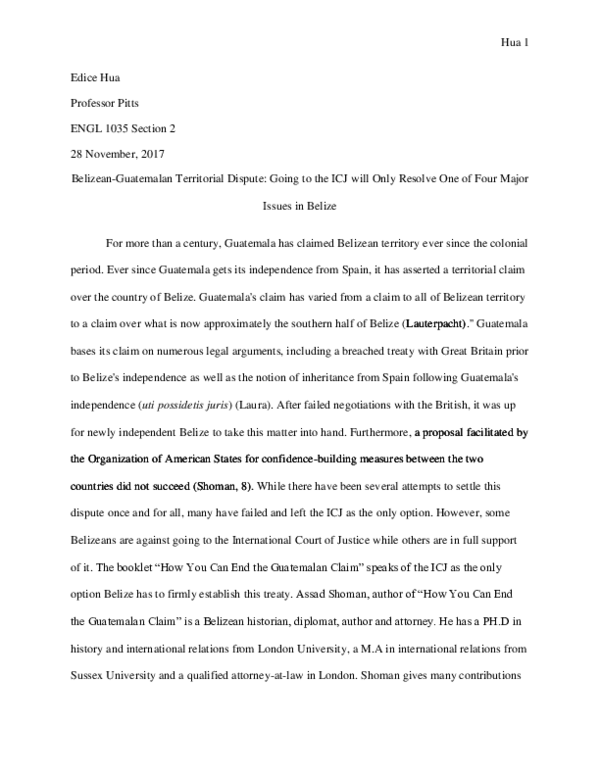 Icj belize essay image