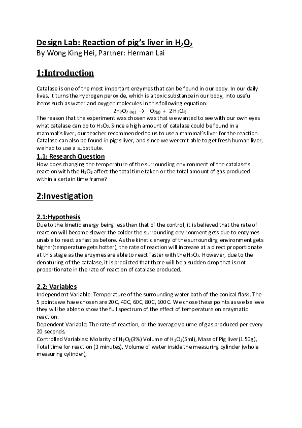 (DOC) Design Lab