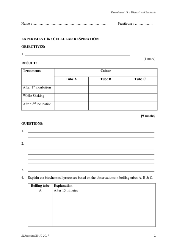 (PDF) Experiment 11 Diversity of Bacteria nurul najwa Academia.edu