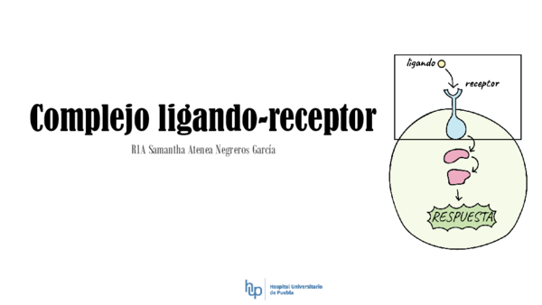 (PPT) Complejo ligando-receptor