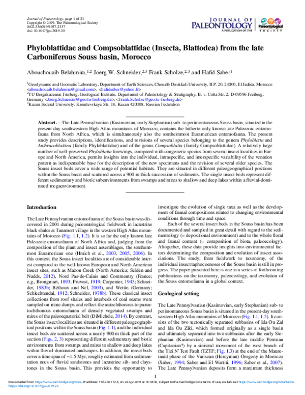 (PDF) Phyloblattidae and Compsoblattidae (Insecta, Blattodea) from the ...