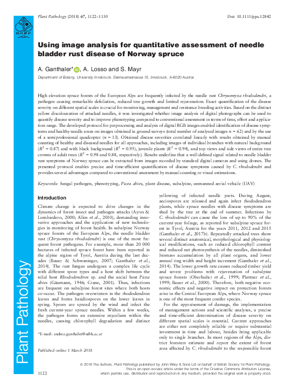 (PDF) Using image analysis for quantitative assessment of needle ...
